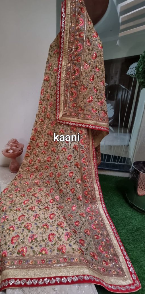 B22 Georgette Beige Embroidered Sequins Shawl