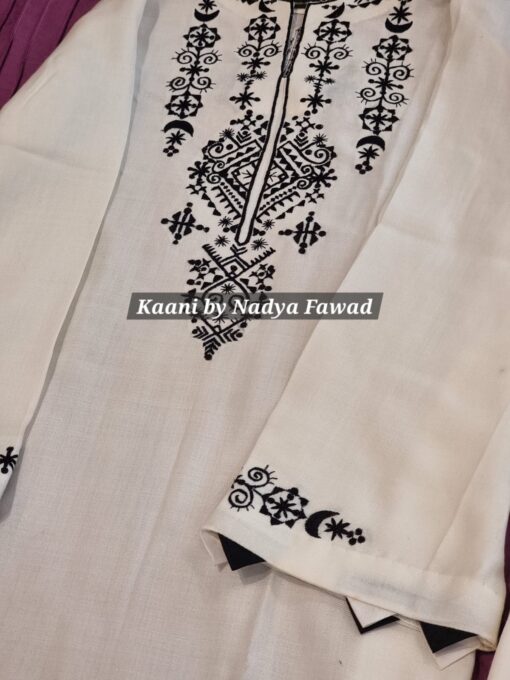 Pashmina Embroidered Suit (201) - Image 3
